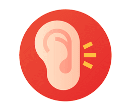 Ear Anatomy
